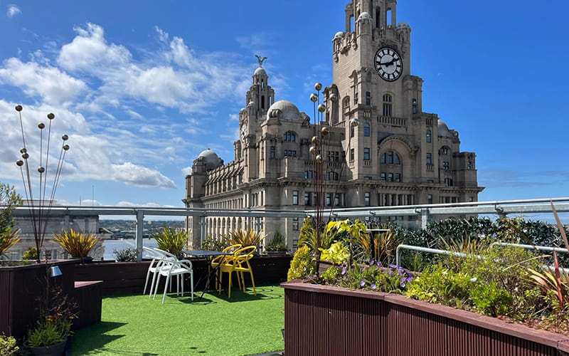 A rooftop area with chairs, plants and grass. A large building with a clock is in the background